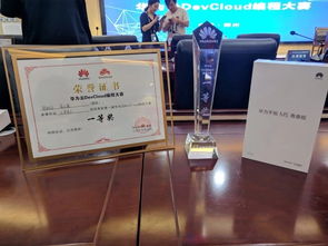 信息工程學(xué)院在華為云軟件DevCloud開發(fā)大賽中勇奪冠軍